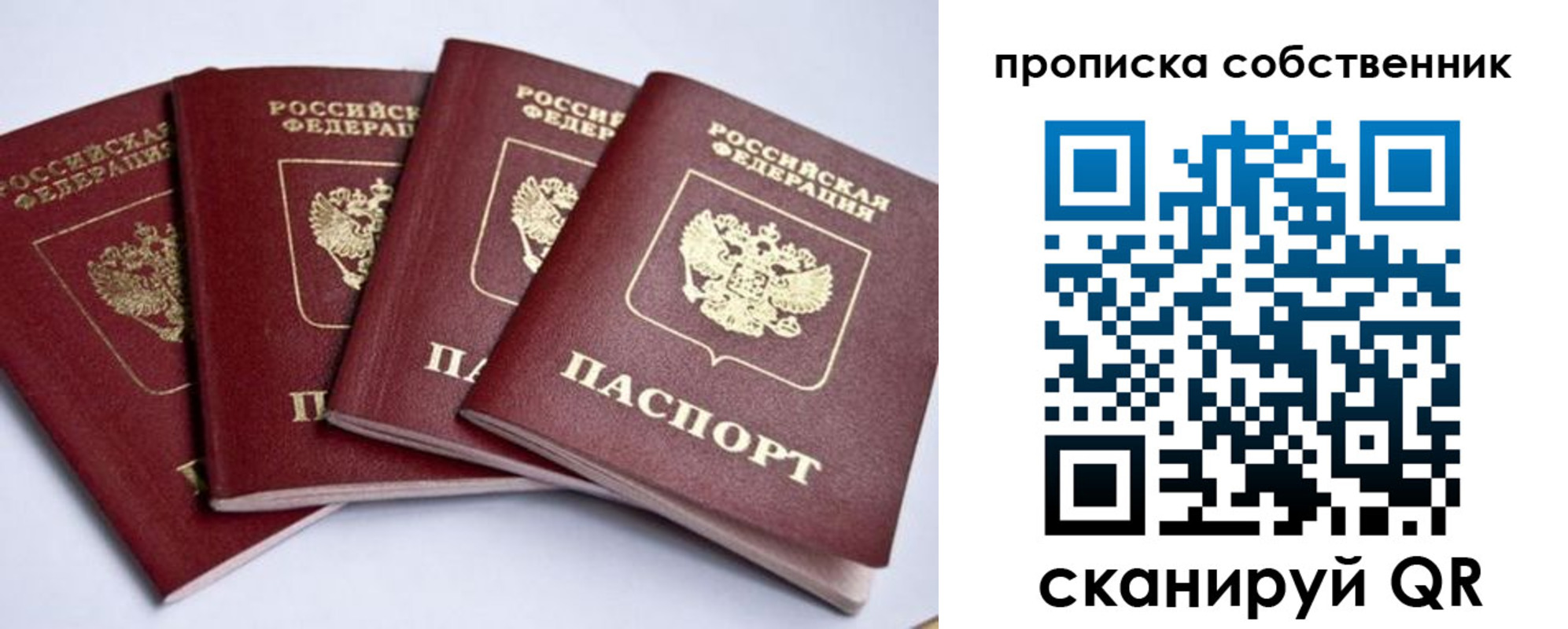 прописка для школы в Лобне